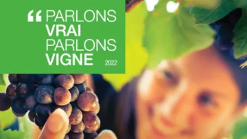 basf pvpv 2022